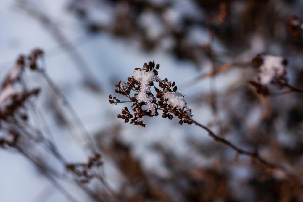 Blö, premier diffuseur de froid portable