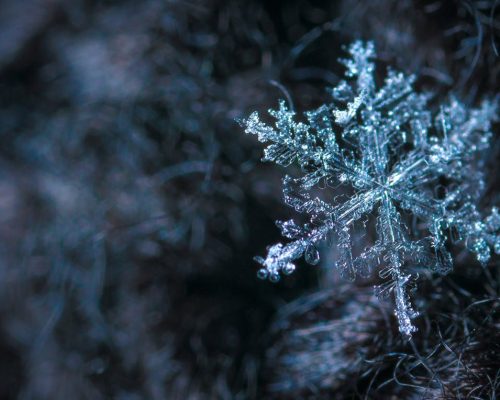 Blö, premier diffuseur de froid portable