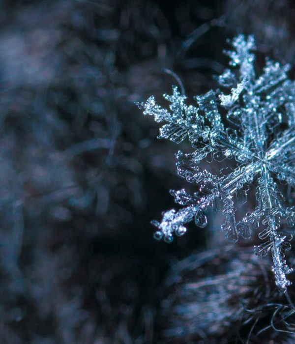 Blö, premier diffuseur de froid portable